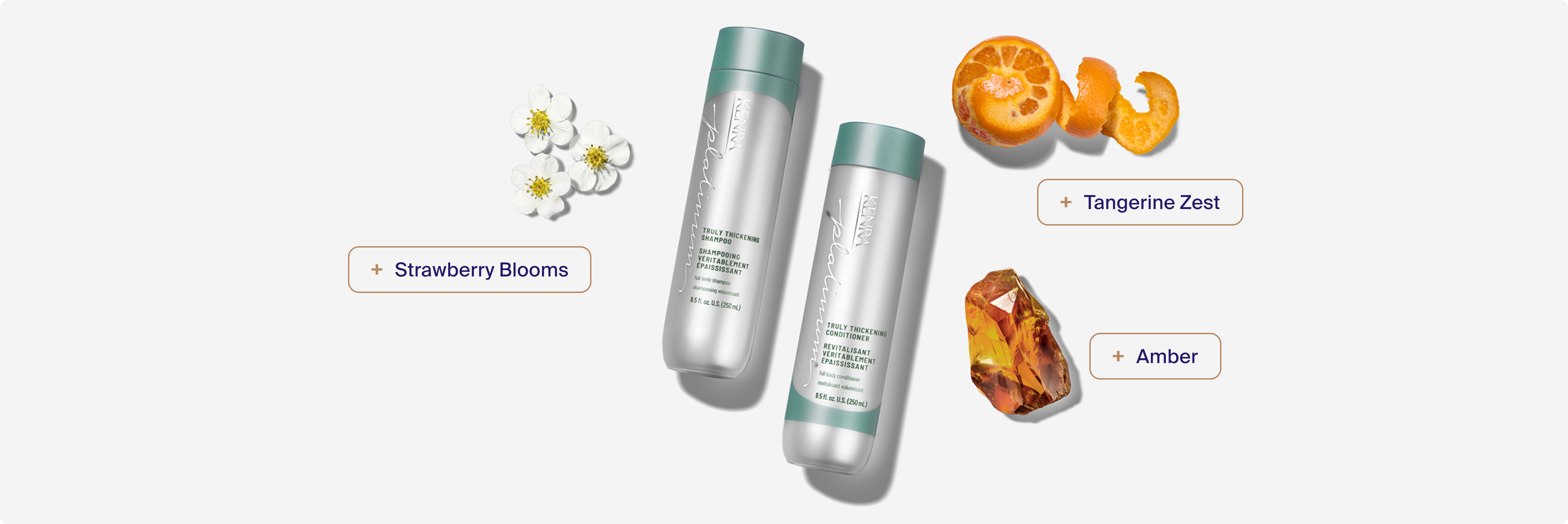 Shampooing et revitalisant pour des cheveux vraiment plus épais fragrance notes