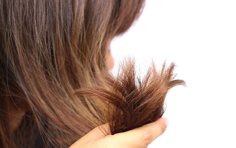 Close-up of a hand holding the dry, split ends of medium-brown hair, with visible breakage and fraying at the tips highlighting hair damage. Featured image for blog post: 4 Hair Breakage Causes and Treatment Options