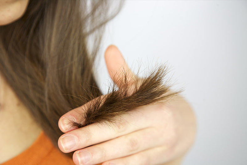 Split Ends? Here’s How To Keep Your Hair Healthy In Between Haircuts