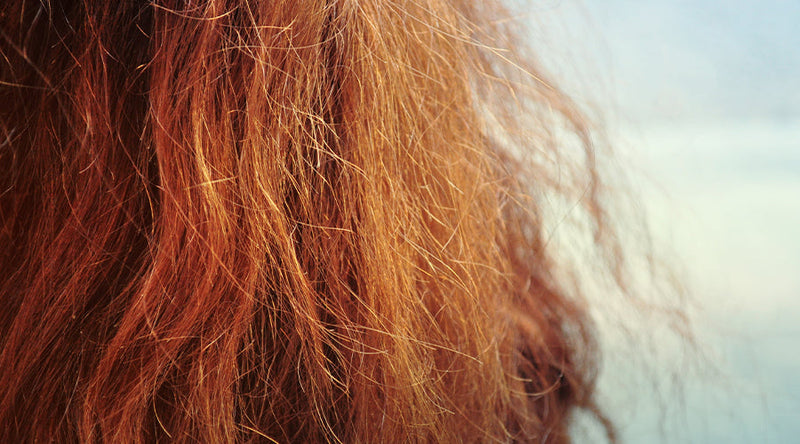 WIPE OUT HUMIDITY WITH THESE TIPS AND TRICKS