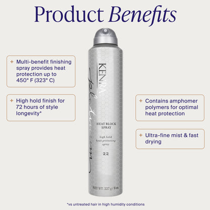 Heat Block Spray 22