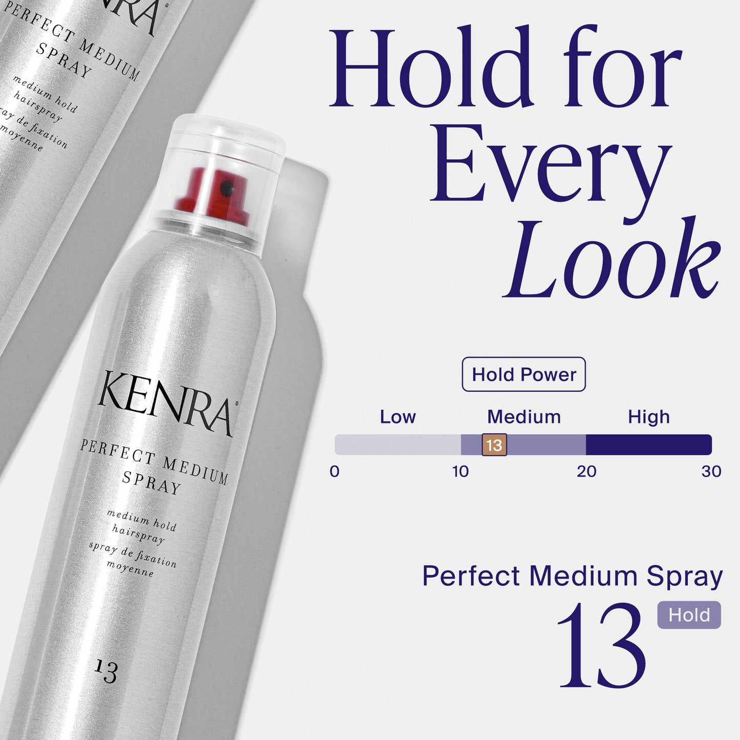 Spray Fixant Perfect Medium 13