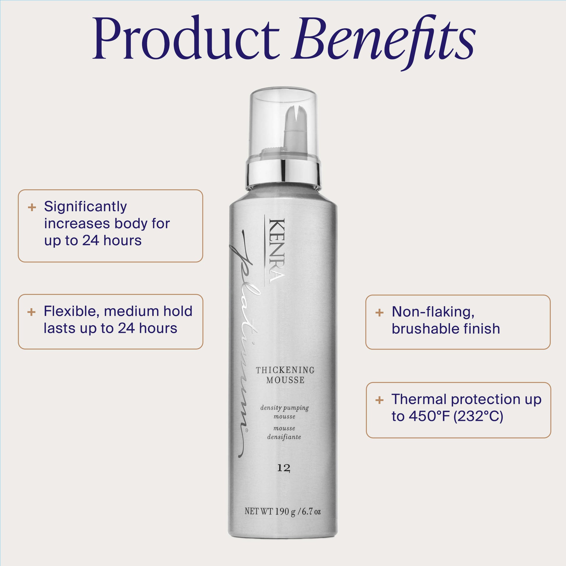 Thickening Mousse 12