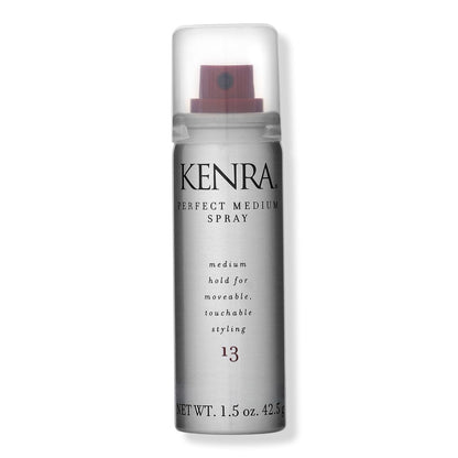 Spray Fixant Perfect Medium 13