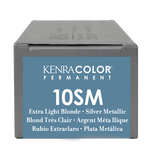 10SM Argent métallisé